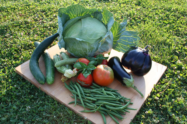 Cooking Lessons With Silvia in San Miniato